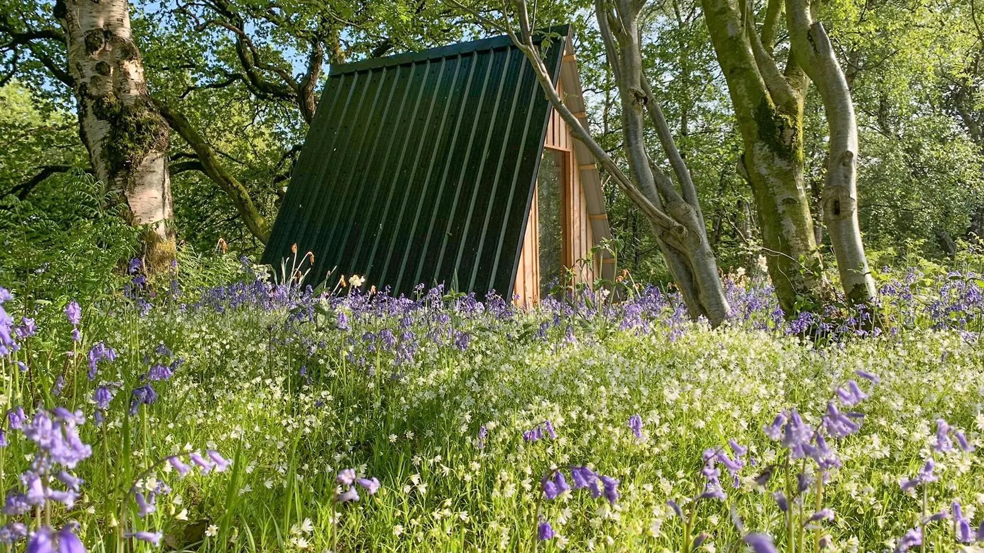 Wheatsheaf Cottage - 80021 Sawdon United Kingdom